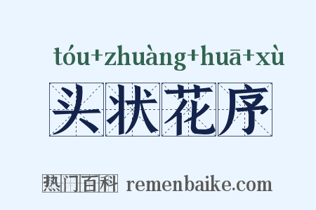 头状花序是什么意思的图片